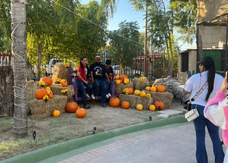 Más de 2 mil personas disfrutan del “aZoostate” en el Zoológico de NLD