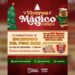 NLD invita a la gran inauguración del “Viveros Mágico 2025” y al “Encendido del Pino Navideño”