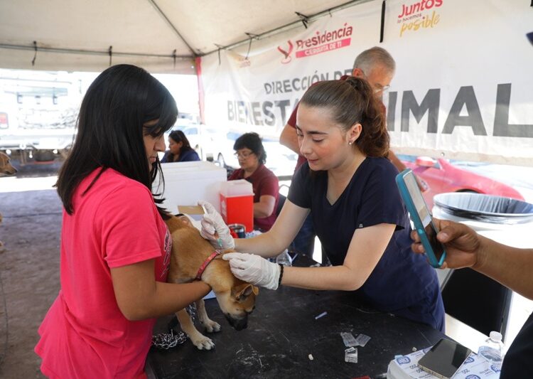 “Presidencia Cerquita de Ti” lleva beneficios del Gobierno de NLD a familias de Col. Naciones Unidas