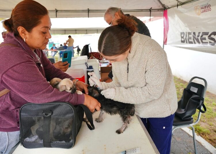 Programa “Presidencia Cerquita de Ti” fortalece la cercanía del Gobierno con vecinos de Buenavista