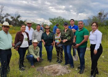 Promueven conciencia ambiental con donación de plantas forestales