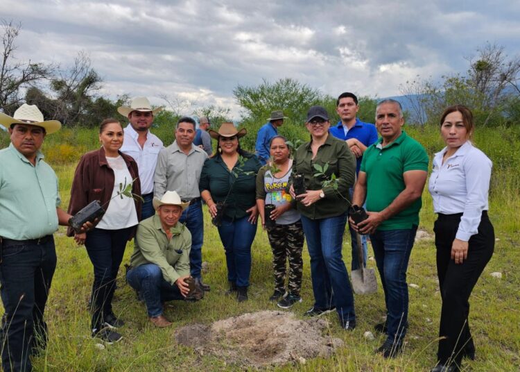 Promueven conciencia ambiental con donación de plantas forestales