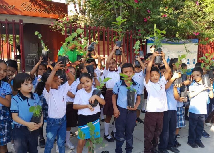 Promueven conciencia ambiental con donación de plantas forestales