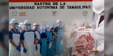 Rastro TIF de la UAT producirá carne para el mercado internacional