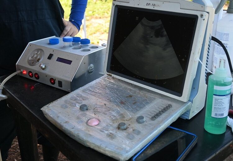 Reafirma Tamaulipas su compromiso con la innovación pecuaria