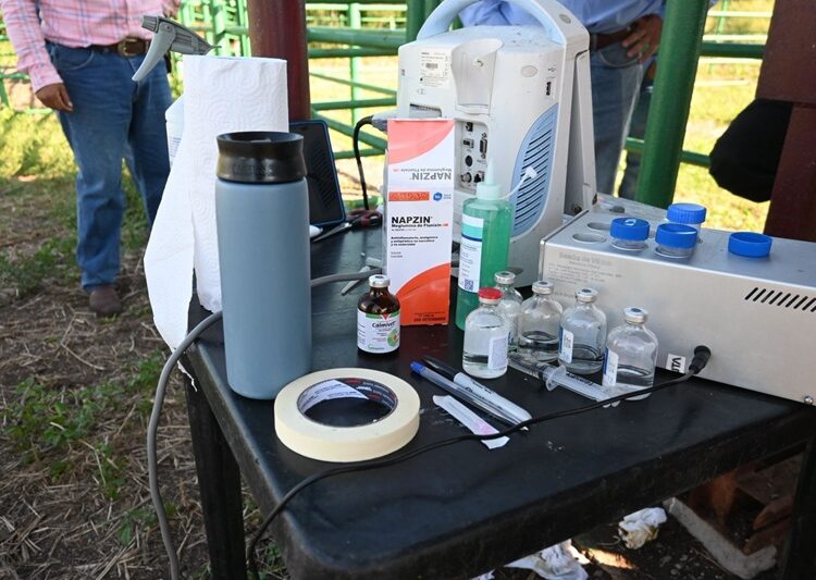 Reafirma Tamaulipas su compromiso con la innovación pecuaria