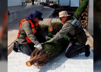 En marcha, el proceso para renovar  al Tribunal Electoral de Tamaulipas