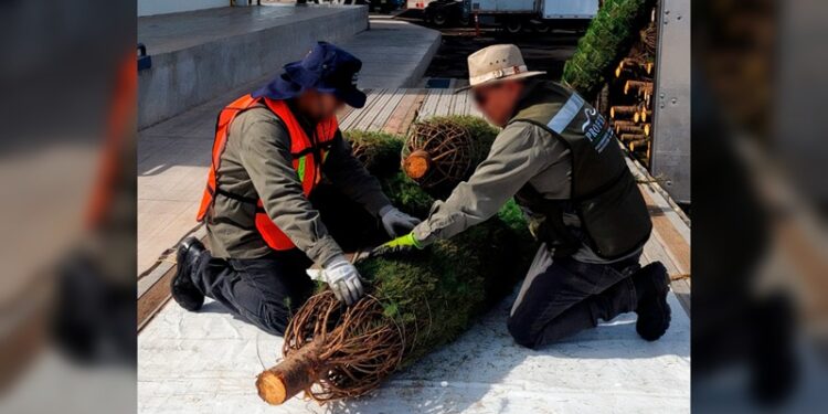 En marcha, el proceso para renovar al Tribunal Electoral de Tamaulipas