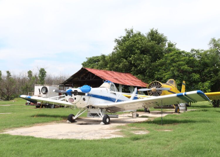 Rescata gobierno de AVA aeródromo de Ciudad Mante para fortalecer al campo