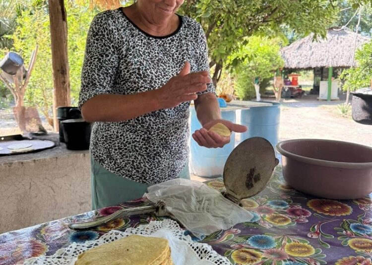 Será ‘Corredor Gastronómico Interejidal’, imán para visitantes
