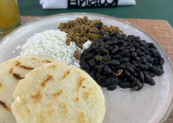 Define Tamaulipas el futuro de sus bosques entre conservación y reforestación