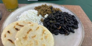 Define Tamaulipas el futuro de sus bosques entre conservación y reforestación