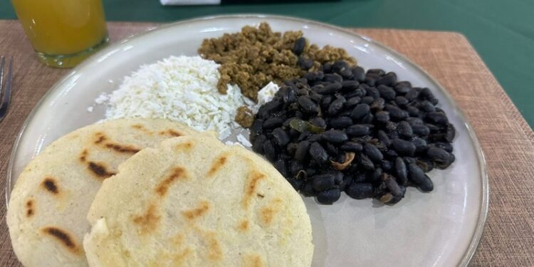 Define Tamaulipas el futuro de sus bosques entre conservación y reforestación