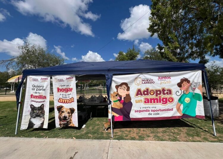 Al cierra de año, Bienestar Animal fortaleció la protección de animales de calle en NLD