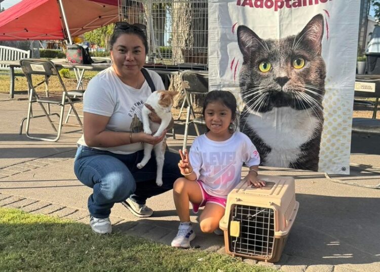 Al cierra de año, Bienestar Animal fortaleció la protección de animales de calle en NLD