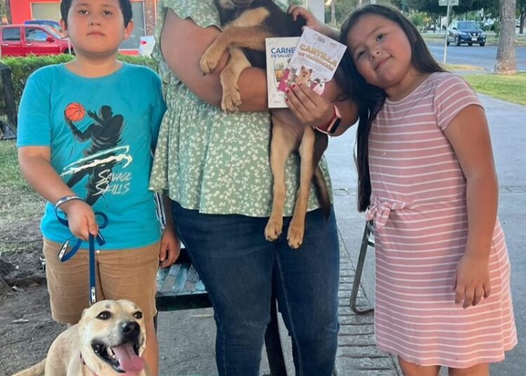 Al cierra de año, Bienestar Animal fortaleció la protección de animales de calle en NLD