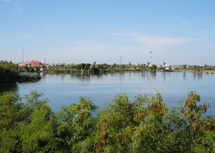 Autoridades de NLD atienden avistamiento de cocodrilo en el Laguito y el Arroyo El Coyote