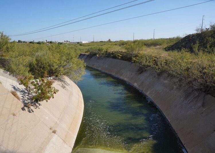 Autoridades de NLD atienden avistamiento de cocodrilo en el Laguito y el Arroyo El Coyote