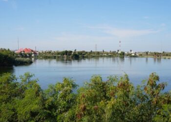 Autoridades de NLD atienden avistamiento de cocodrilo en el Laguito y el Arroyo El Coyote