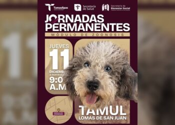 Beto Granados acerca servicios de salud animal al ‘Tamul Lomas de San Juan’