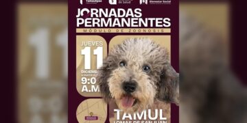 Beto Granados acerca servicios de salud animal al ‘Tamul Lomas de San Juan’