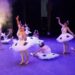 Celebrará NLD la gala de invierno con danza y música en el Centro Cultural
