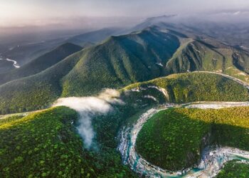 Define Tamaulipas el futuro de sus bosques entre conservación y reforestación