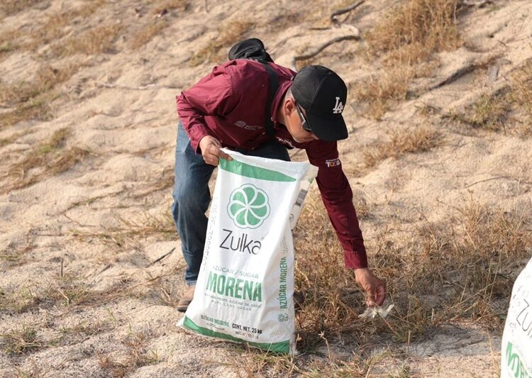 Encabeza Armando Martínez jornada de preservación de playa ‘Dunas Doradas’