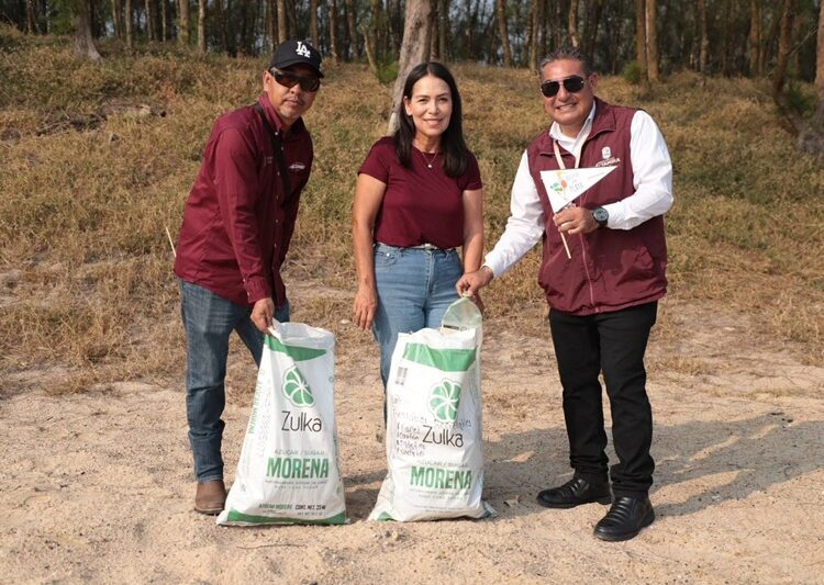 Encabeza Armando Martínez jornada de preservación de playa ‘Dunas Doradas’