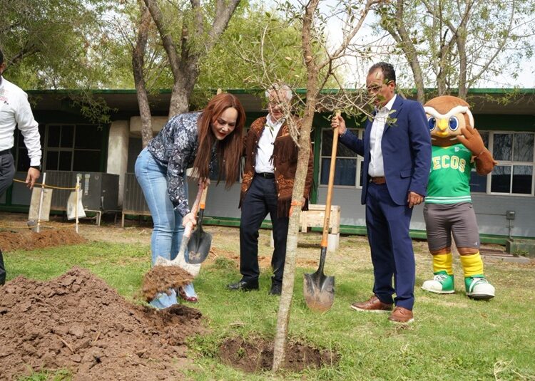 Gobierno de NLD culmina ‘campaña de reforestación 2025’