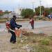 Gobierno de NLD refuerza acciones para mantener una ciudad limpia