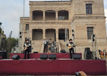 Define Tamaulipas el futuro de sus bosques entre conservación y reforestación