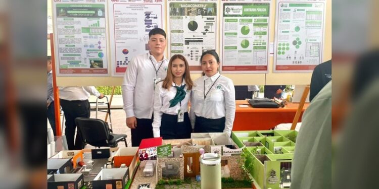 “Innovación UAT”: Crean panel de bagazo de caña para construcción