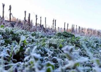 Inician trasvase de ‘El Cuchillo’ por el río San Juan y activan alerta en municipios de Tamaulipas