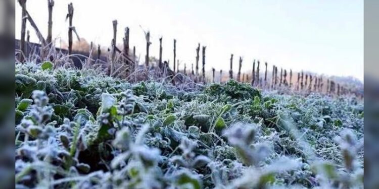 Inician trasvase de ‘El Cuchillo’ por el río San Juan y activan alerta en municipios de Tamaulipas
