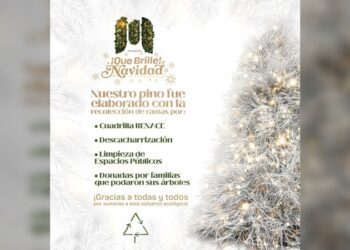 Pino navideño elaborado con material reciclado en Matamoros