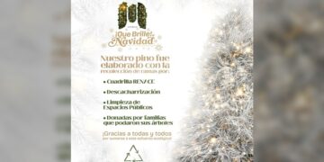 Pino navideño elaborado con material reciclado en Matamoros