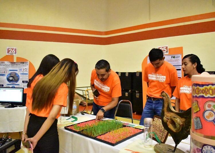 Produce la UAT forraje hidropónico del sorgo y maíz