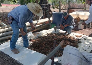 Promueven producción y uso de lixiviados en Xicoténcatl