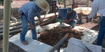 Promueven producción y uso de lixiviados en Xicoténcatl