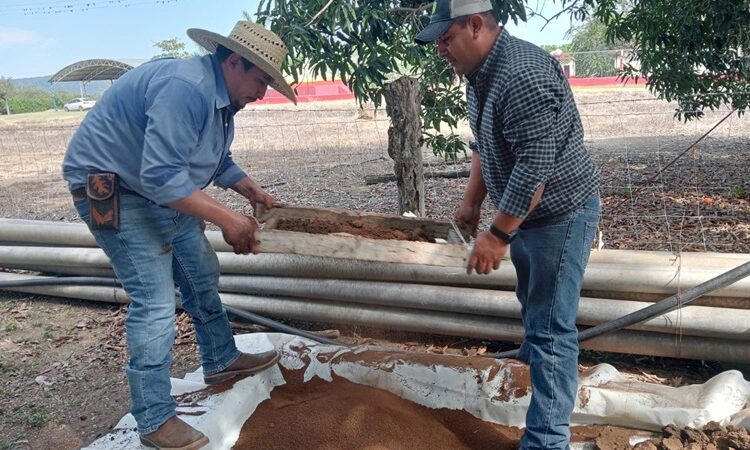 Promueven producción y uso de lixiviados en Xicoténcatl