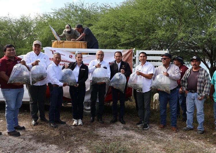 Promueven repoblamiento pesquero en Tamaulipas con la liberación de 8 mil alevines