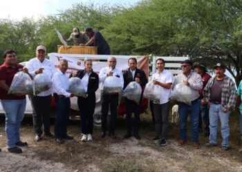 Promueven repoblamiento pesquero en Tamaulipas con la liberación de 8 mil alevines