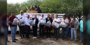 Promueven repoblamiento pesquero en Tamaulipas con la liberación de 8 mil alevines