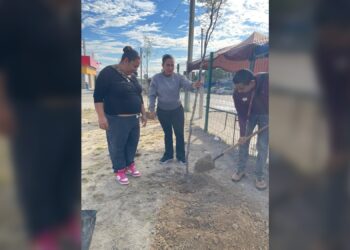 Reforestan plaza de Los Olivos 2 como parte del programa ‘Arboleando NLD’