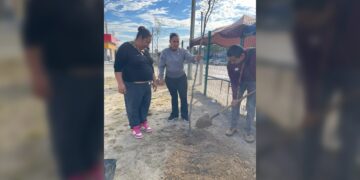Reforestan plaza de Los Olivos 2 como parte del programa ‘Arboleando NLD’
