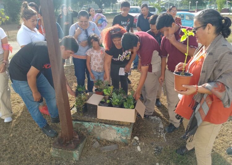 Unen esfuerzos para prevenir violencia contra las mujeres en Tamaulipas