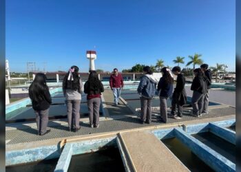 Visitan alumnos del Tec de Madero y del CETis 78 planta DUPORT