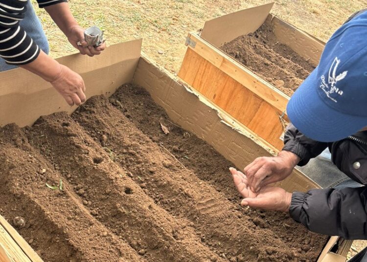 Coordinación general de gestión ambiental impulsa huertos urbanos en espacio comunitario