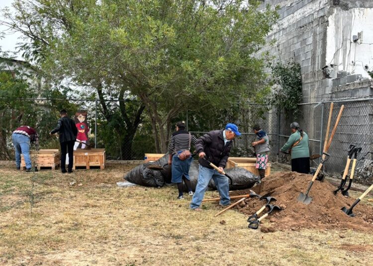 Coordinación general de gestión ambiental impulsa huertos urbanos en espacio comunitario